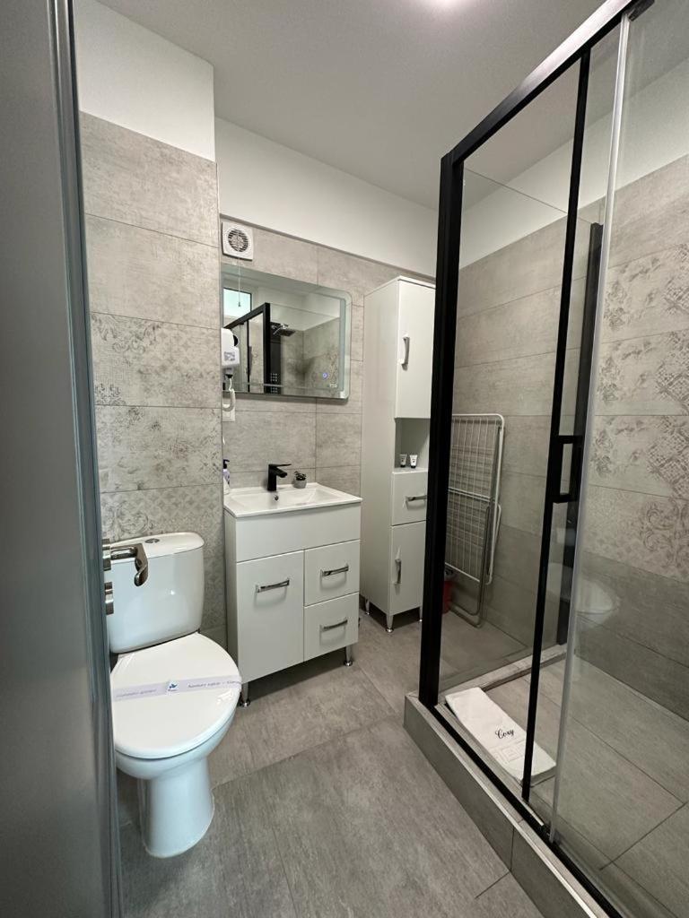 Cozy Holidays In Center Of Suceava Esplanada Ngoại thất bức ảnh