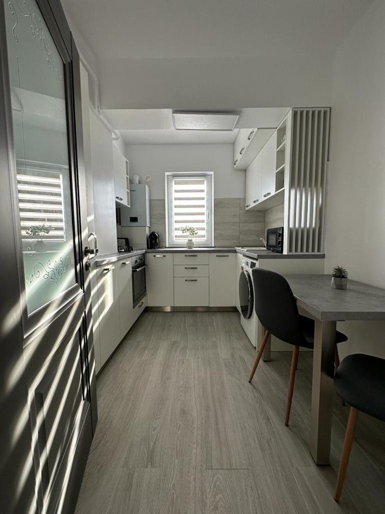 Cozy Holidays In Center Of Suceava Esplanada Ngoại thất bức ảnh