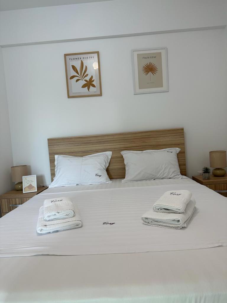 Cozy Holidays In Center Of Suceava Esplanada Ngoại thất bức ảnh